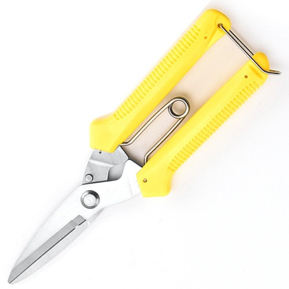 Stainless Steel Gardening Pruning Shears Precision Cutting Hand Pruner Branch Shears Fruit Tree