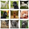 45x45 см наволочка для собаки-пуделя, чехол для подушки с изображением животного, украшение для гостиной, квадратная наволочка из полиэстера