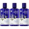 Avalon Organics Scalp Normalizing Tea Tree Mint Shampoo, 3 Packs