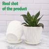 6,3-дюймовые цветочные горшки для украшения дома, горшки для комнатных растений, садовые горшки для растений, пластиковые цветочные горшки для садовых растений (белый) (Набор из 5 ГОРШКОВ)