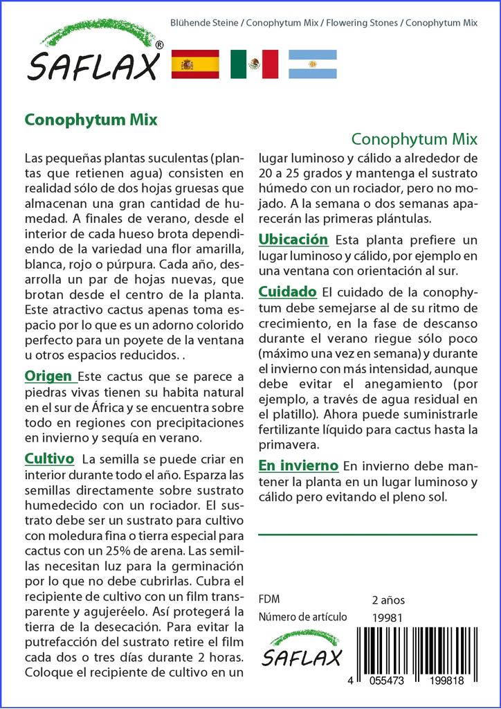 SAFLAX Garden in the Bag - Цветущие камни / Conophytum Mix - 40 семян - С субстратом в подходящем стоячем пакете - Conophytum Mix