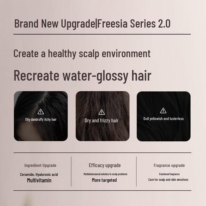 Bote Liyuan Freesia Oil Control Hair Care Set