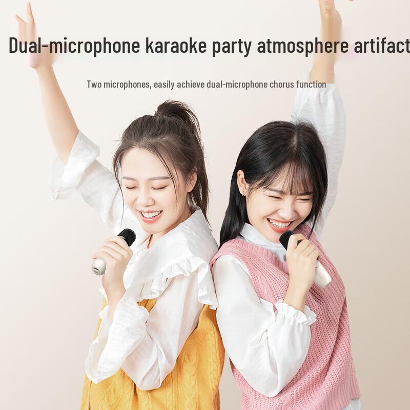 Newman DP97 All-in-One KTV Microphone Speaker