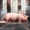 40cm Size Animal Body Pillow Plush Material Pig Keychain Portable Bag Decoration  Home Decor