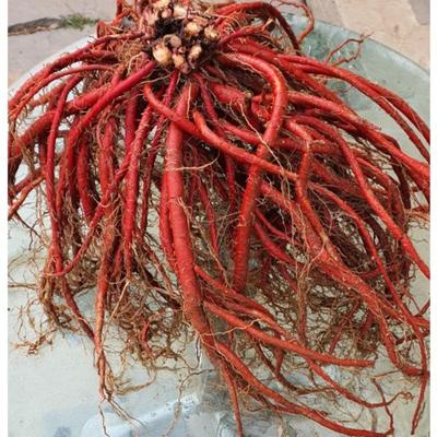 Сальвия Herbal City Farmer Сальвия 100% отечественного производства