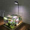 10W LED Aquarium Light USB Powered Indoor LED Growing Light  House Flower Hydropon