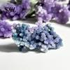 Smooth Polished Rocks Natural Grape Agate Crystal Cluster, Mineral Gemstone, Stone Tranquility Stones for Aquarium Terrarium Decor, Unique Gift