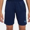 Nike Dri-FIT Принт логотипа Эластичный пояс Прямые штанины Детские шорты Детские шорты Темно-синие DM8537-410