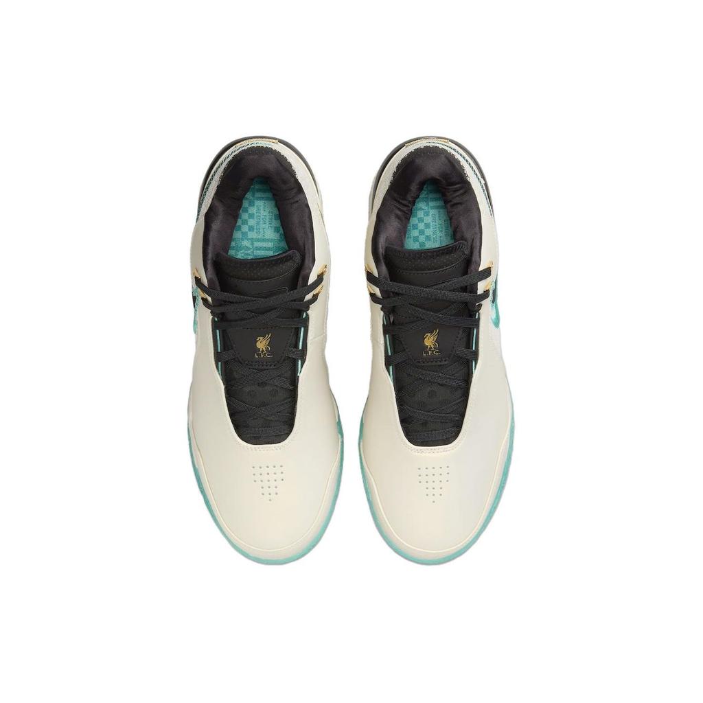 Ливерпуль. x Nike Zoom LeBron NXXT Gen AMPD Светлый орех Джинсовый бирюзовый Мужские кроссовки Кремовый Светло-орехово-коричневый Черный FJ1566-101
