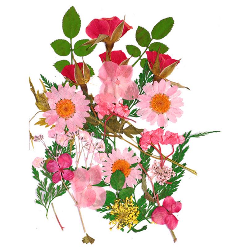 Популярные маленькие 25 шт./пакет, высокое качество, украшение для дома, сушеные цветы, прессованные цветы, консервированные цветы, сделай сам, мини-цветы ручной работы