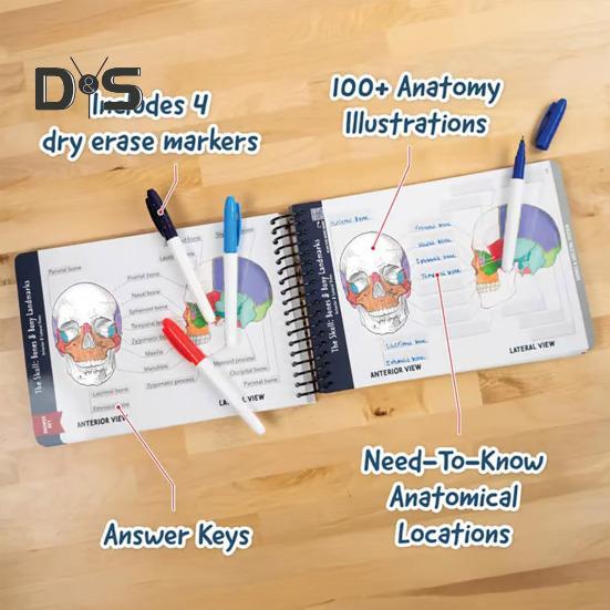 Лабораторная рабочая тетрадь по анатомии. Более 100 иллюстраций по анатомии человека. Рабочая тетрадь по изучению физиологии для студентов медицинских вузов, врачей и медсестер.