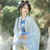 Chinese Song Dynasty Style Hanfu Women's Wear Daily Pleated Skirt Set
