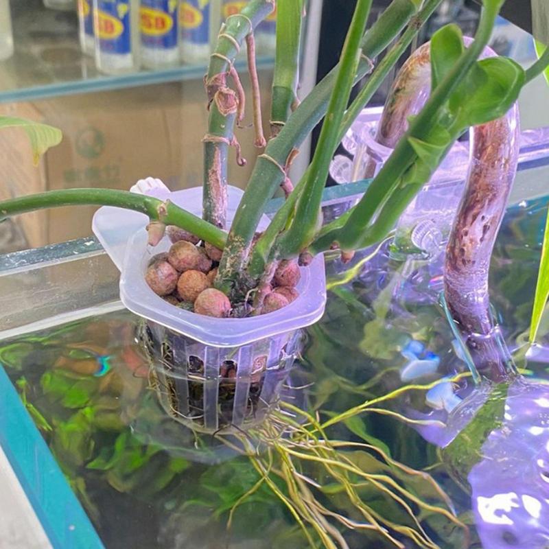 Корзина для посадки аквариумных растений Гидропонная поддержка Подвешиваемая Чашка для водных растений Аквариумный держатель для водных растений Настенные цветочные горшки