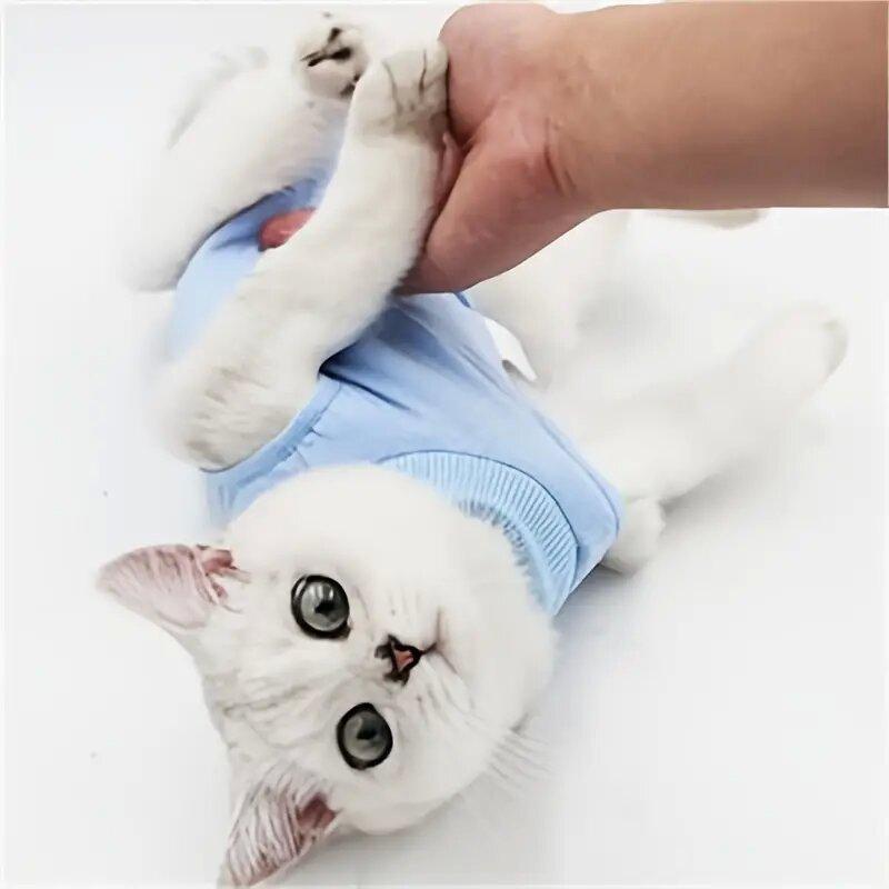 Vogue Weaning Clothes Pet Recovery Suit Pet Supplies For Female Cats Easy To Wear Suitable for All Seasons Adjustable Cat Protective Clothes