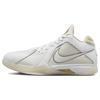 Zoom KD 3 Мужские кроссовки White Metallic Gold Light-Bone DZ3009-100