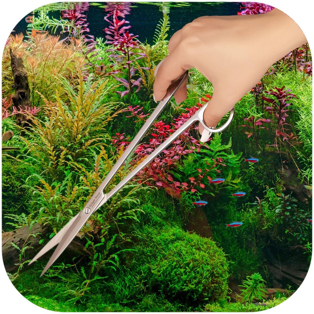 Aquarium Scissors for Aquarium Plants Straight 25cm