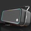 Beide BD-H0695 Portable Bluetooth Karaoke Speaker with Dual Microphones CN plug (adapter included)