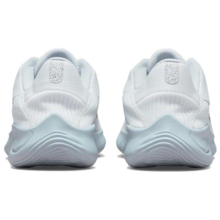 Nike Flex Experience Run 11 Next Nature Белый металлик Серебристые женские кроссовки Pure-Platinum DD9283-100