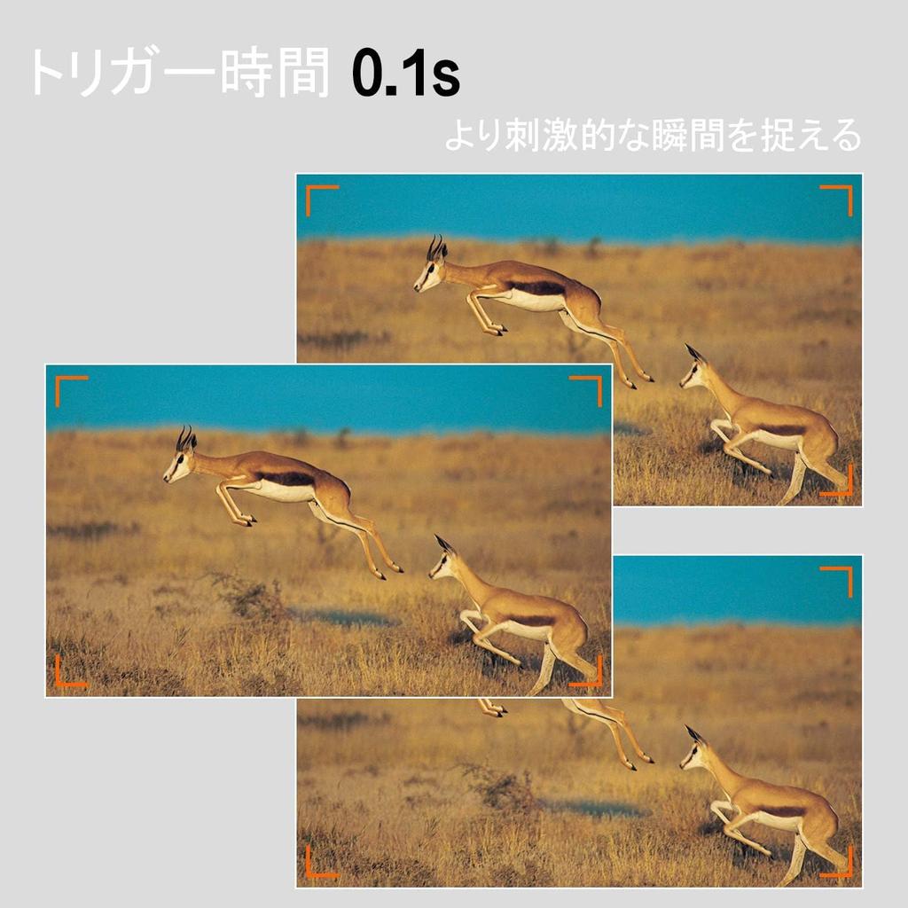 Blazevideo Trail 2 Pieces 1296P Motion Security Wildlife Surveillance Night Vision Shooting 48 Million IP66 PIR Invisible At Equipped with Infrared