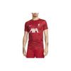 Liverpool FC Academy Pro Logo Embroidered Slim Fit Short Sleeve T-Shirt Men Tops DX3614-688