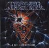 CD JACKAL - БЕЗОПАСНЫЙ ВЗГЛЯД В ЗЕРКАЛА (1 CD) 08462312 Rising Sun Prod 1994 Дания Рок Б/у