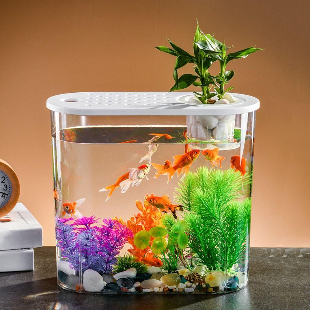 Transparent Aquaponic Fish Bowl Removable Plastic Hydroponic Fish Tank Goldfish Tank Table