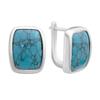 Silver Earrings with Turquoise (2176572)