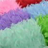 10Meters Turkey Feathers Trim Fringe Ribbon Feather On Tape Flecos Sewing Trimmings Fringe for Clothes Dress Wedding Decoration