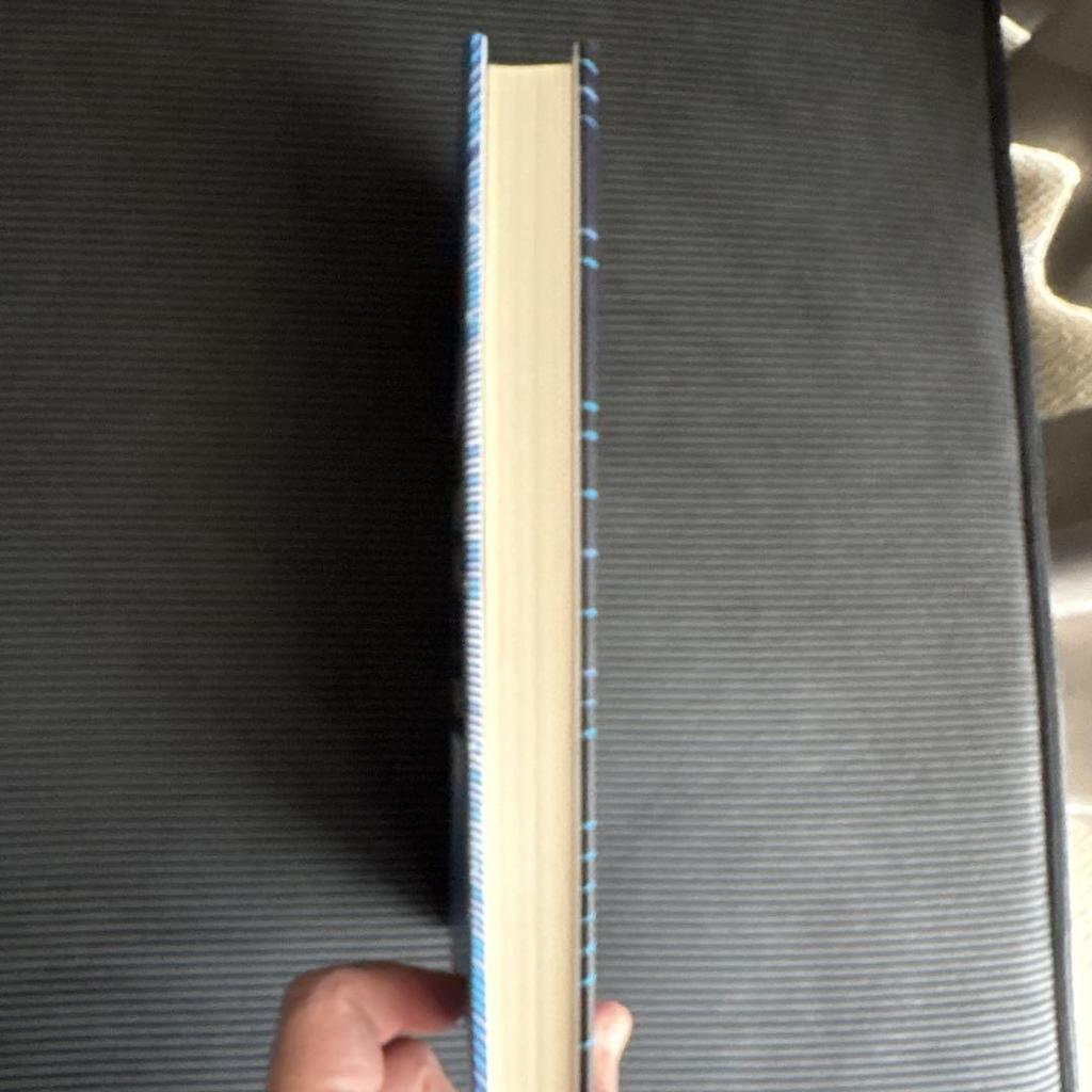 [USED] (English book) Nvidia The Nvidia Way by Tae Kim