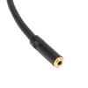 Professional 3.5mm 1/8 to XLR Microphone Cable  Microphone Connection