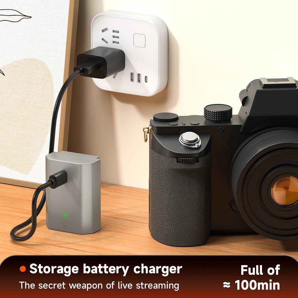 PALO NP-FZ100 NP FZ100 Np Fz100 Battery+Type C Port for Sony A6700 BC-QZ1 Sony Alpha A9 a7R III A7 III A7R3 a7R IV A6600 ZV-E1