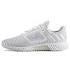 Climacool Мужские кроссовки White Cloud-White Metallic-Silver BB3084