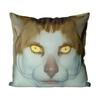 18'' x 18'' Monday Left Me Broken Cat Mr. Peebles Square Throw Pillow Cushion Covers Cases Pillowcases 45cm x 45cm