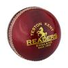 Readers Детский/детский кожаный мяч для крикета County Elite