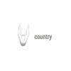 Universal Car Audio & Navigation Dashboard Panel Clips