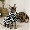Hairless Cat Clothes Thick Winter Four Legs High Neck Double Sided Fleece Warm Stretch Plush Sphinx Devon Cat Clothes