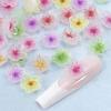 30pcs Colourful Flowers Nail Art Charms 8mm Resin Plum Blossom Rhinestone Nail Decoration Accessories DIY Manicure Supplie Parts
