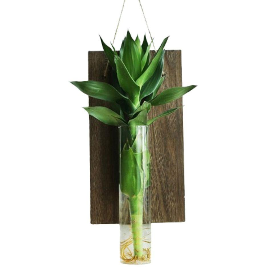 Vintage Wall Mount Glass Vase Creative Plant Flower Pots Aquarium Hydroponic Container Hotel