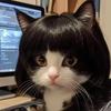 Смешные парики для косплея питомцев, пародийный парик для собаки и кошки, товары для питомцев, шляпа для волос кошек, костюмы для DIY, аксессуары для головы, рождественские украшения для питомцев