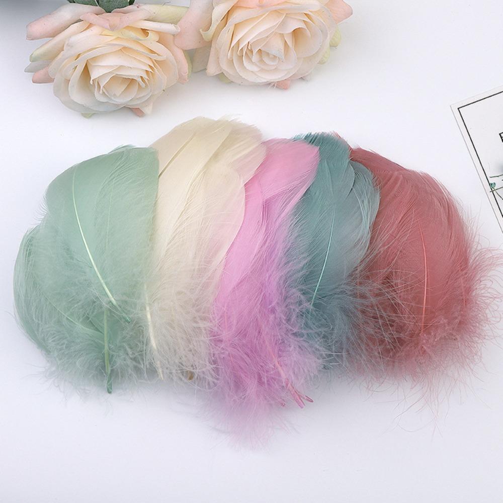 100pcs Natural Swan Feather Plume 7-12cm Dream Catcher Feathers Goose Feathers for DIY Craft