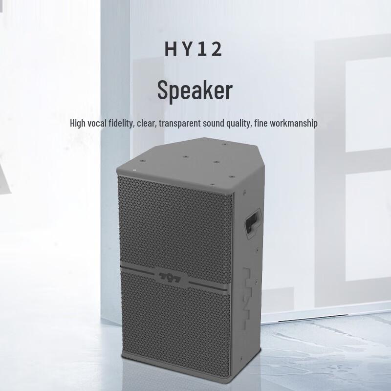 797audio HY12 Professional Conference and Performance Speaker CN plug (adapter included)