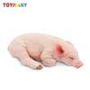 Toymany Simulation Sleeping Pink Piglet Farm Animal Model Toy Mini Figures Dolls Action Figurines Toys Children Gift Cake Decora