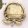 Bag Decorative Pin Rhinstone Fruit Brooch for Women, Shape Alloy Lapel Golden Tone Accessories Pin, Clothing Jewelry Wedding Party Prom Shirts