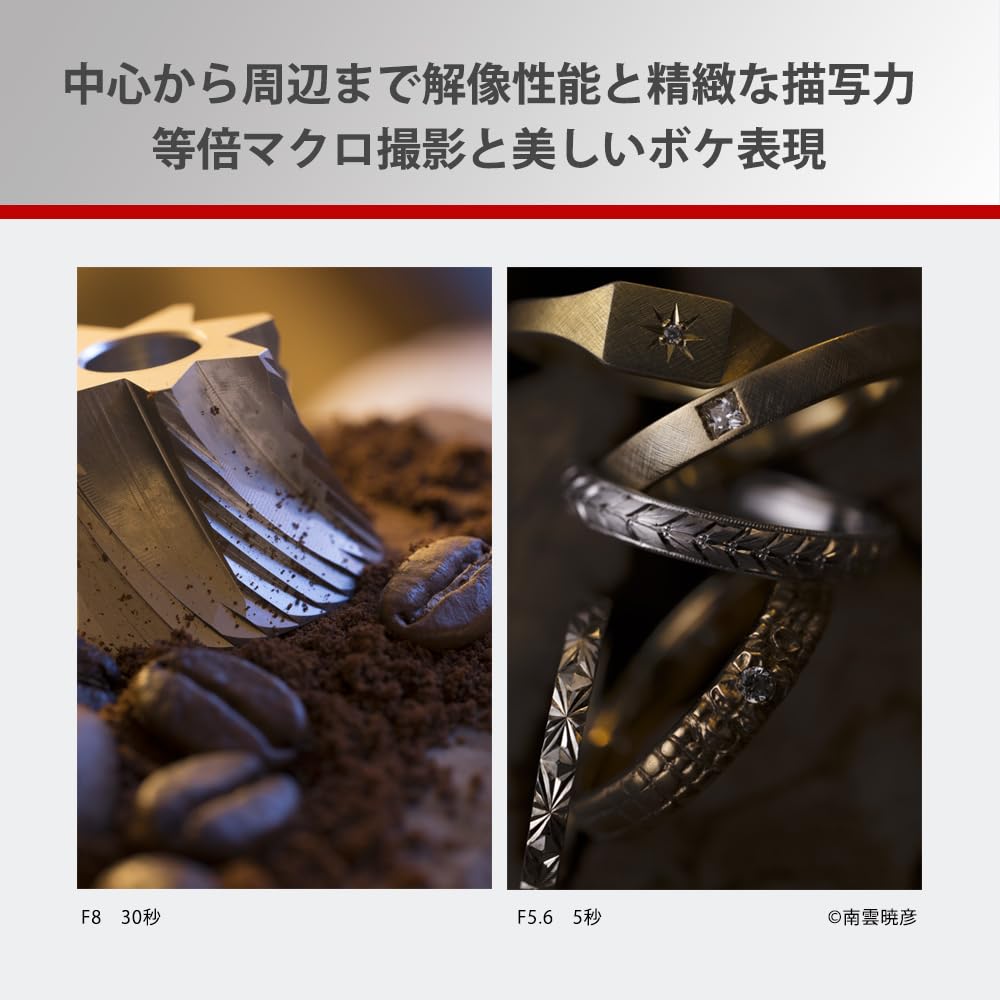 Panasonic Средний телеобъектив с одним фокусом, полноразмерный беззеркальный однообъективный объектив для макросъемки и портретной съемки LUMIX S 100 мм черный F2.8