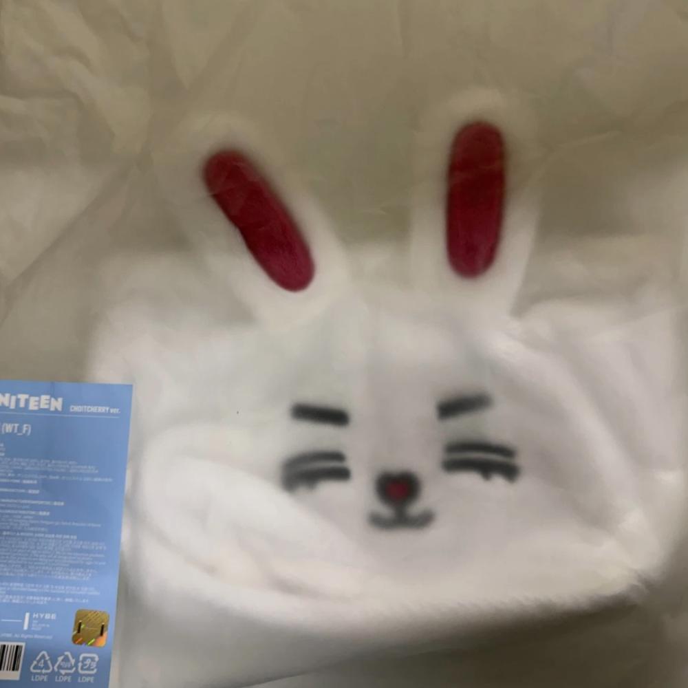 Seventeen MINITEEN HOUSE PARTY POP-UP Официальный MD