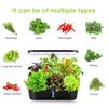 6-Hole Hydroponic Grower Indoor Garden Hydoponics Growing System Herbs Soilless Vegetables Planting Kit with LED Grow Lights