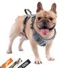 JC HOUSE Harness for Small Suitable for Outdoor and Lightweight Suitable for French Bulldogs and Shiba Reduces Neck Easy To Put Camouflage 3M Popular