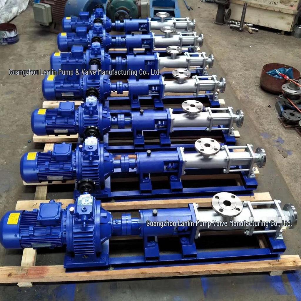 G30-1 High Flow Sludge Thickener 304 Stainless Steel Screw Pump with Variable Frequency Motor