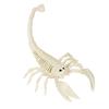 Halloween Animal Skeletons Dog Bat Frog Scorpion Spider Snake Rat Bone Skeletons for Halloween Party Haunted House Graveyard Scene Decoration