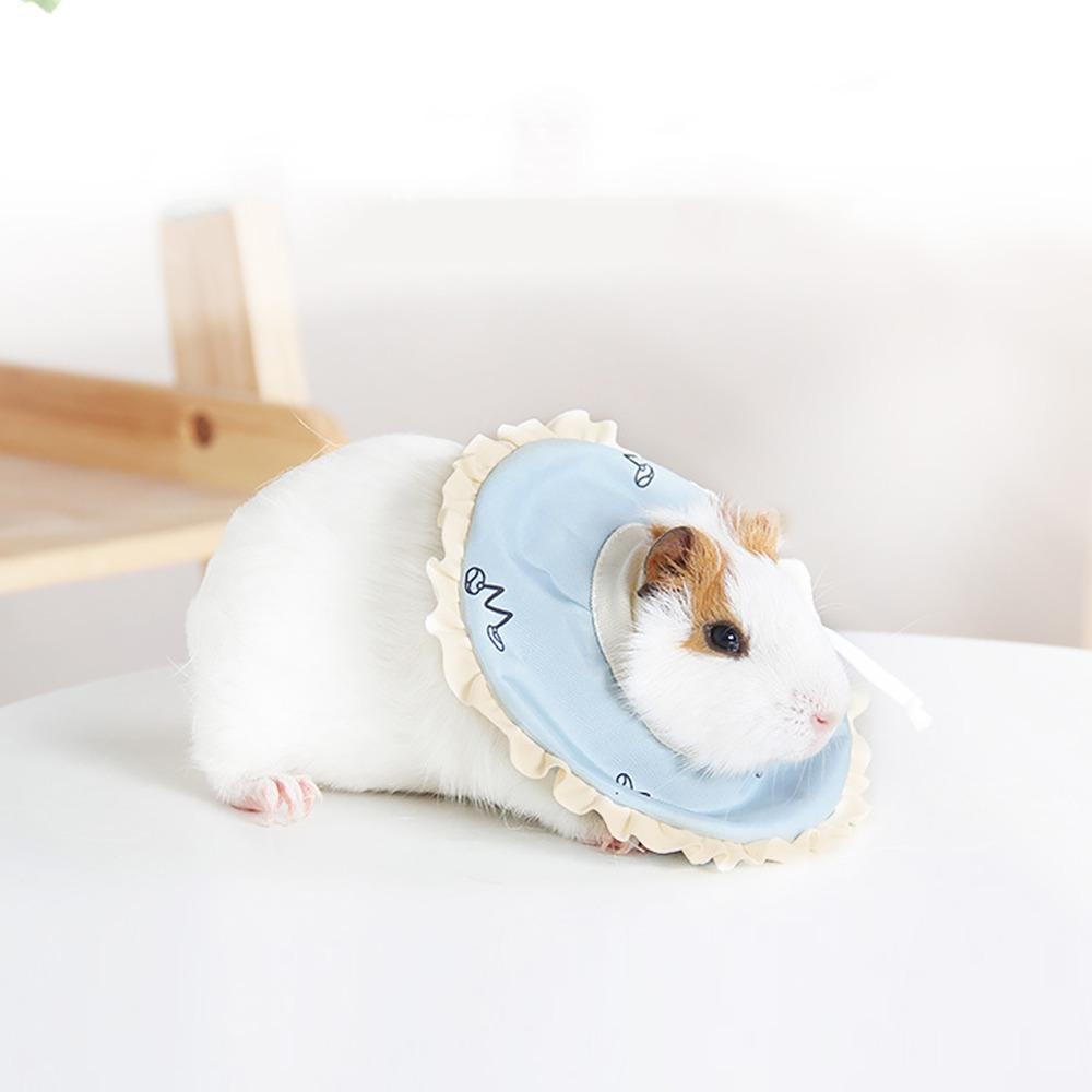 Sponge Pet Protective Collar Blue Elizabeth Circle Comfortable Pet Nursing Ring Sugar Glider